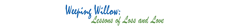 Weeping Willow: Lessons of Loss and Love